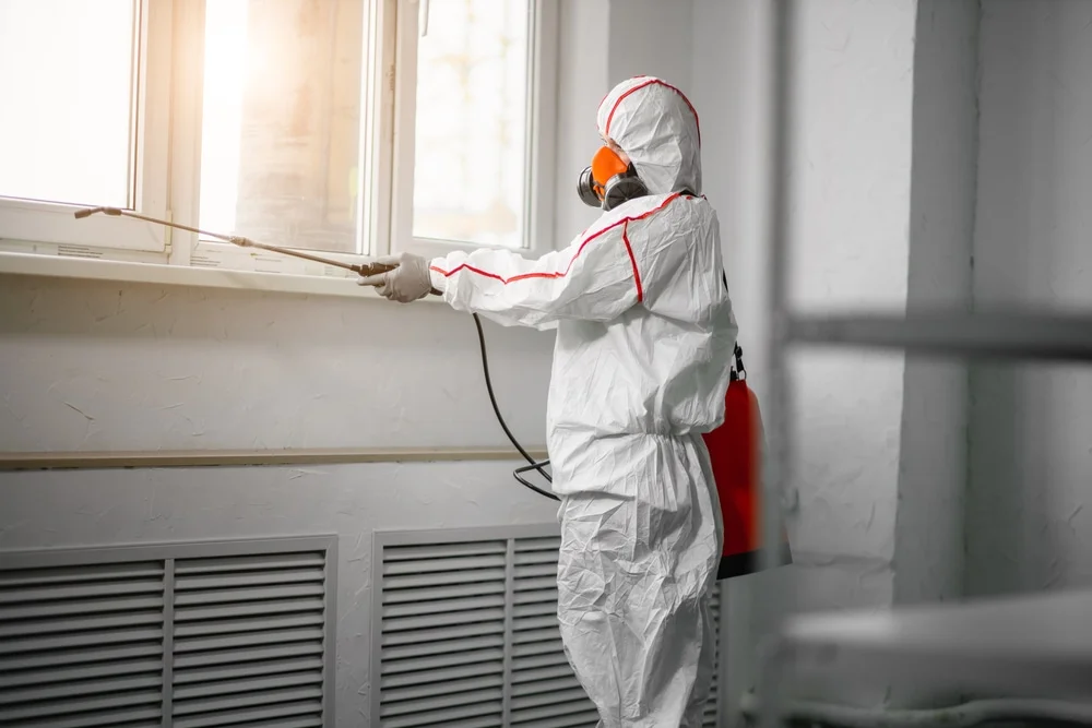 Professional mold remediation services in Whiteland, IN